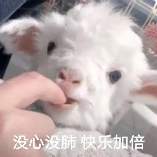 为爱鼓掌表情包杀心