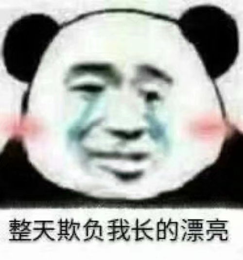  搞笑熊猫头表情包7.29
