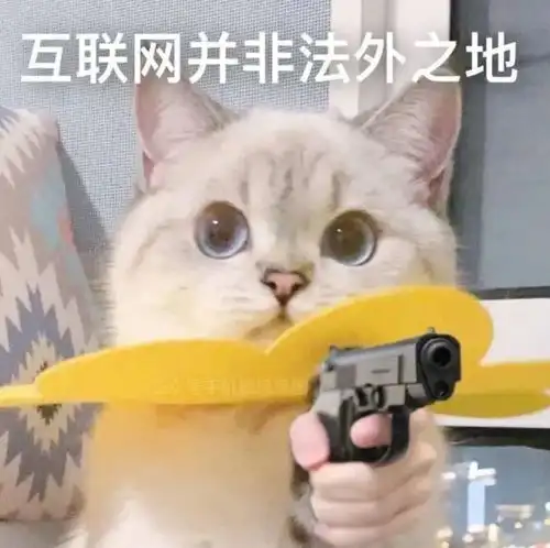 狸花冒充狸白四个月未被发现,真公主还是假千金替身猫麻麻,你在说什么人家听不懂 狸花冒充狸白四个月未被发现,真公主还是假千金替身猫麻麻,你在说什么人家听不懂