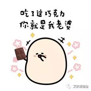 在不在套路表情包个事