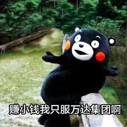 熊本熊表情包晚安东北话