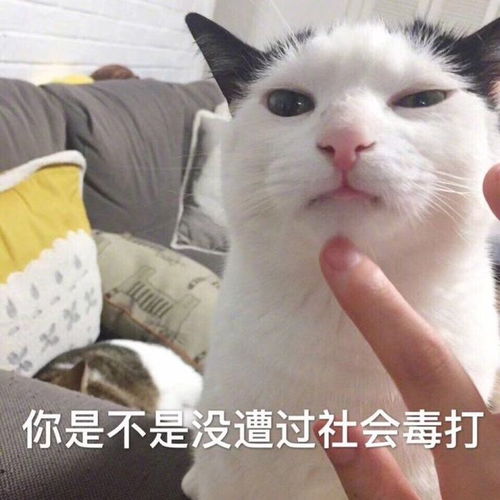  有哪些让你相见恨晚的思维方式