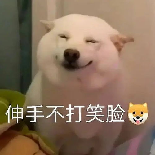  i猜人进