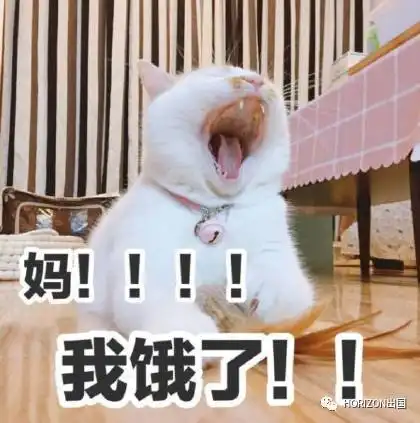 不屑表情包图片 图库楼