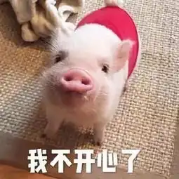 龙首文苑童年最美好的回忆 龙首文苑童年最美好的回忆