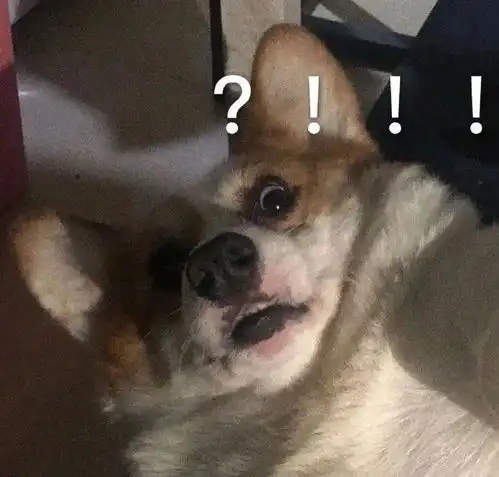 姐妹们有什么万能的表情包,大概就是不知道怎么回对方可以发的 姐妹们有什么万能的表情包,大概就是不知道怎么回对方可以发的