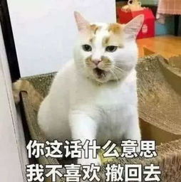 聊天必备脏话表情包你这话什么意思我不喜欢,撤回去