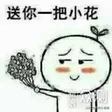 给花表情包微信