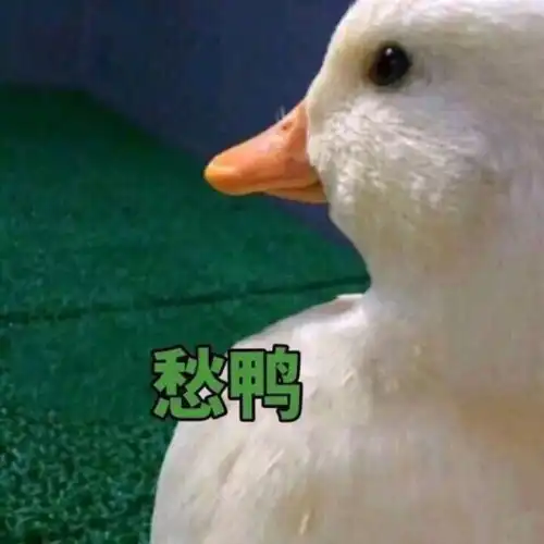 每日表情逗比聊天 每日表情逗比聊天