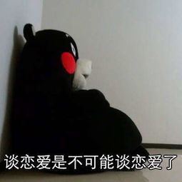  熊本熊这辈子都不可能谈恋爱的表情包高清分享