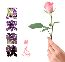 冰壶秋月的贴吧吧突然想爱你 冰壶秋月的贴吧吧突然想爱你