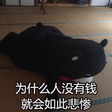  我只想要快乐doge表情包doge快乐想要表情
