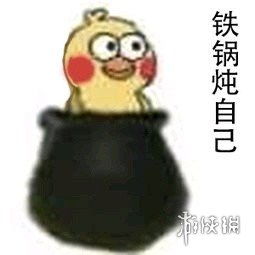  铁锅炖自己表情包铁锅炖自己什么意思