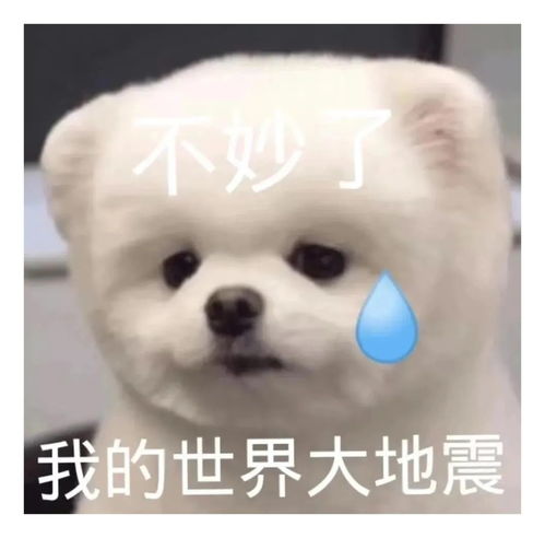  表情包一组有趣的表情包55期