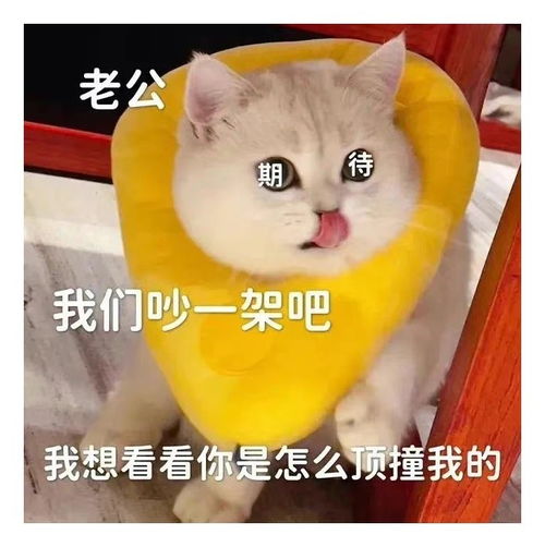  表情包一组有趣表情包41期