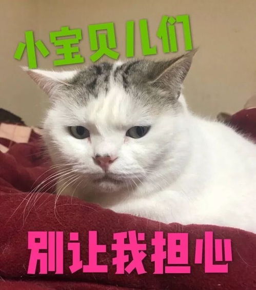  来收一发拐哥表情包,感受来自灵魂那帅气的震撼吧