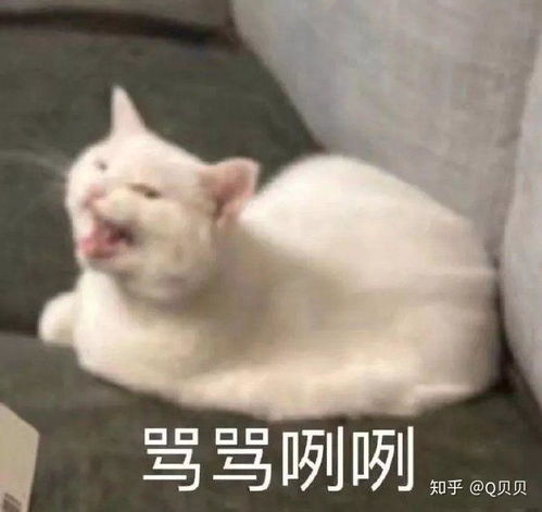 表情包形容你专业图片沙