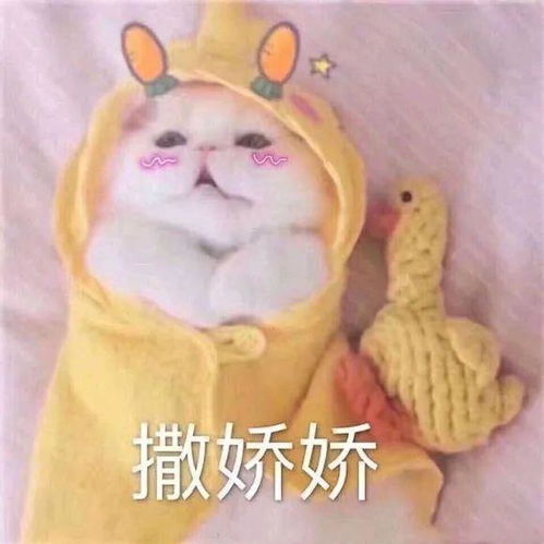  有哪些适合在撒娇时使用的表情包