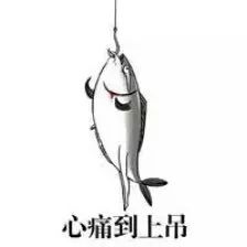  土豪垂钓赛最高可赢30万豪车警方属犯罪
