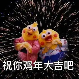 为什么祝你鸡年大吉鹦鹉兄弟 为什么祝你鸡年大吉鹦鹉兄弟