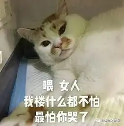 这只猫去世,近百万网友每天以泪洗面 这只猫去世,近百万网友每天以泪洗面