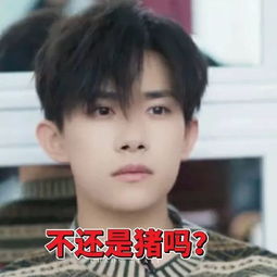 tfboys合体表情包之王俊凯遇到了一个难题系列 tfboys合体表情包之王俊凯遇到了一个难题系列