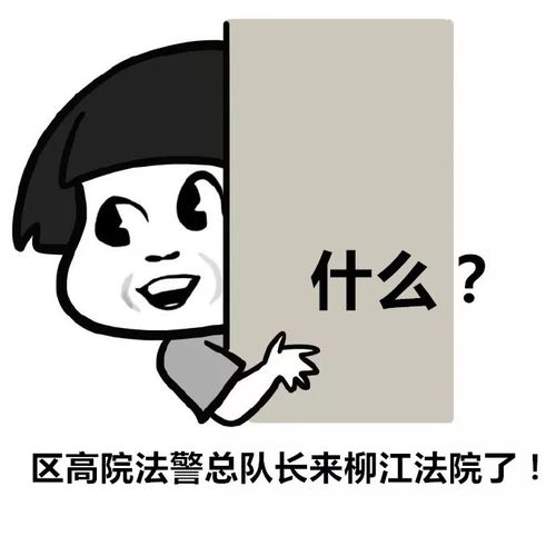  柳江法警我们准备好了请检阅