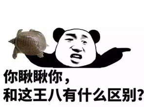 搞怪熊猫表情包聊天表情