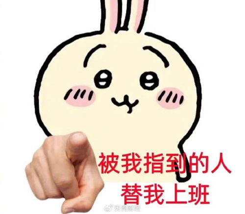  chiikawa表情包是怎么让打工人破防的