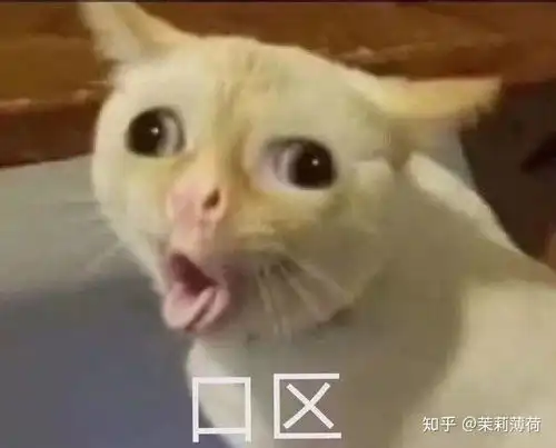 可以推荐下适合油皮女孩的护肤品,化妆品吗 可以推荐下适合油皮女孩的护肤品,化妆品吗