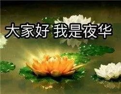  台风界痴情种泰利生成,或将成为超强台风太平洋风王三生三世来福建