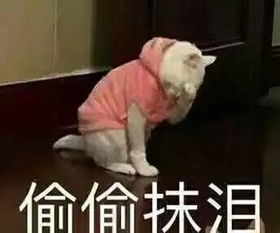  听我的这份军训指南你必须pick