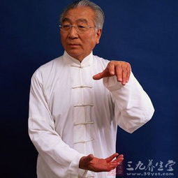  24式简化太极拳练习24式太极拳的要点9