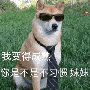  狗子给自己开电风扇,铲屎官这是我见过的最会享受的狗