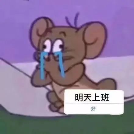  表情包发送蹦迪信号