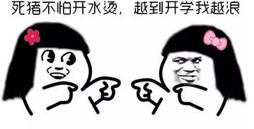 设计公司表情包费用开学