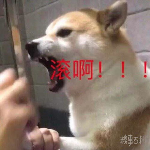 我看你行的表情包文案