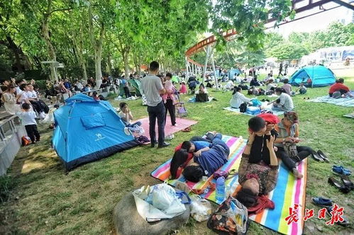  假期最后一天,来一场最武汉的放松方式吧