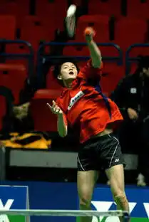 羽坛风云羽毛球新闻组图2005年全英羽毛球公开赛精彩图片一 羽坛风云羽毛球新闻组图2005年全英羽毛球公开赛精彩图片一