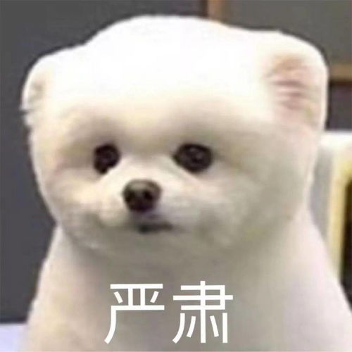 秀恩爱虐狗表情包孤寡