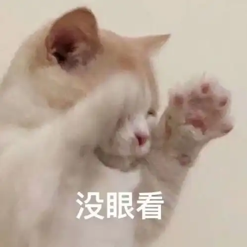 新手养猫准备注意事项 新手养猫准备注意事项