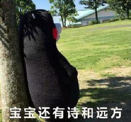  思思看股股市名人思思看股同花顺财经