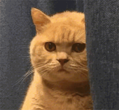 当代精致女孩的日常,张嘴的瞬间我就笑喷了哈哈哈哈哈哈哈 当代精致女孩的日常,张嘴的瞬间我就笑喷了哈哈哈哈哈哈哈