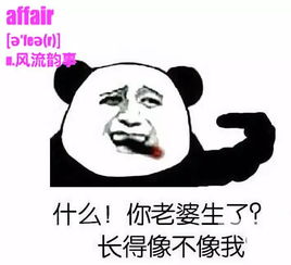  每日一句循环大考2140表情包考研单词版大放送