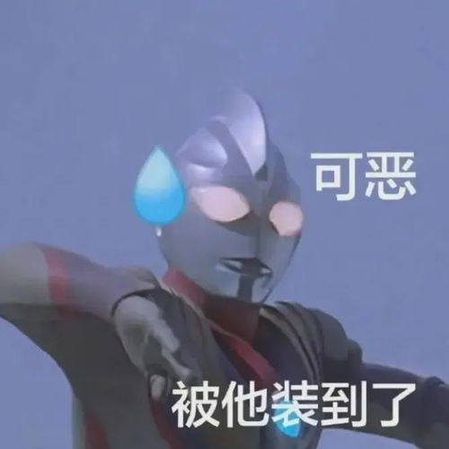  大壮业主,这样收楼你就偷着乐吧