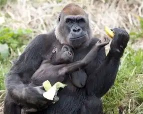 新一波吃货来袭,挑战你味蕾的时刻到了 新一波吃货来袭,挑战你味蕾的时刻到了