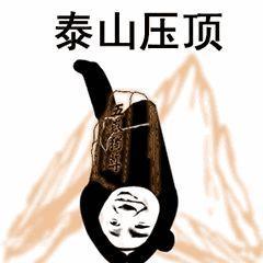 qq斗图表情包熊猫武功