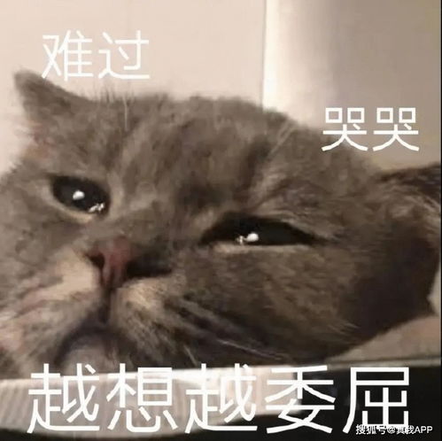  小闭口刷酸有效还是冻干粉有效