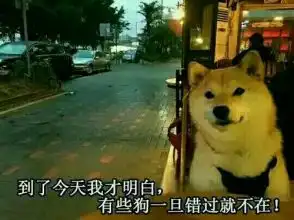 男子在基本农田上建房,被责令整改后起诉农业农村局,却因这个问题被驳回 男子在基本农田上建房,被责令整改后起诉农业农村局,却因这个问题被驳回