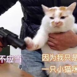  电话,地址,价格,营业时间淮滨县美食